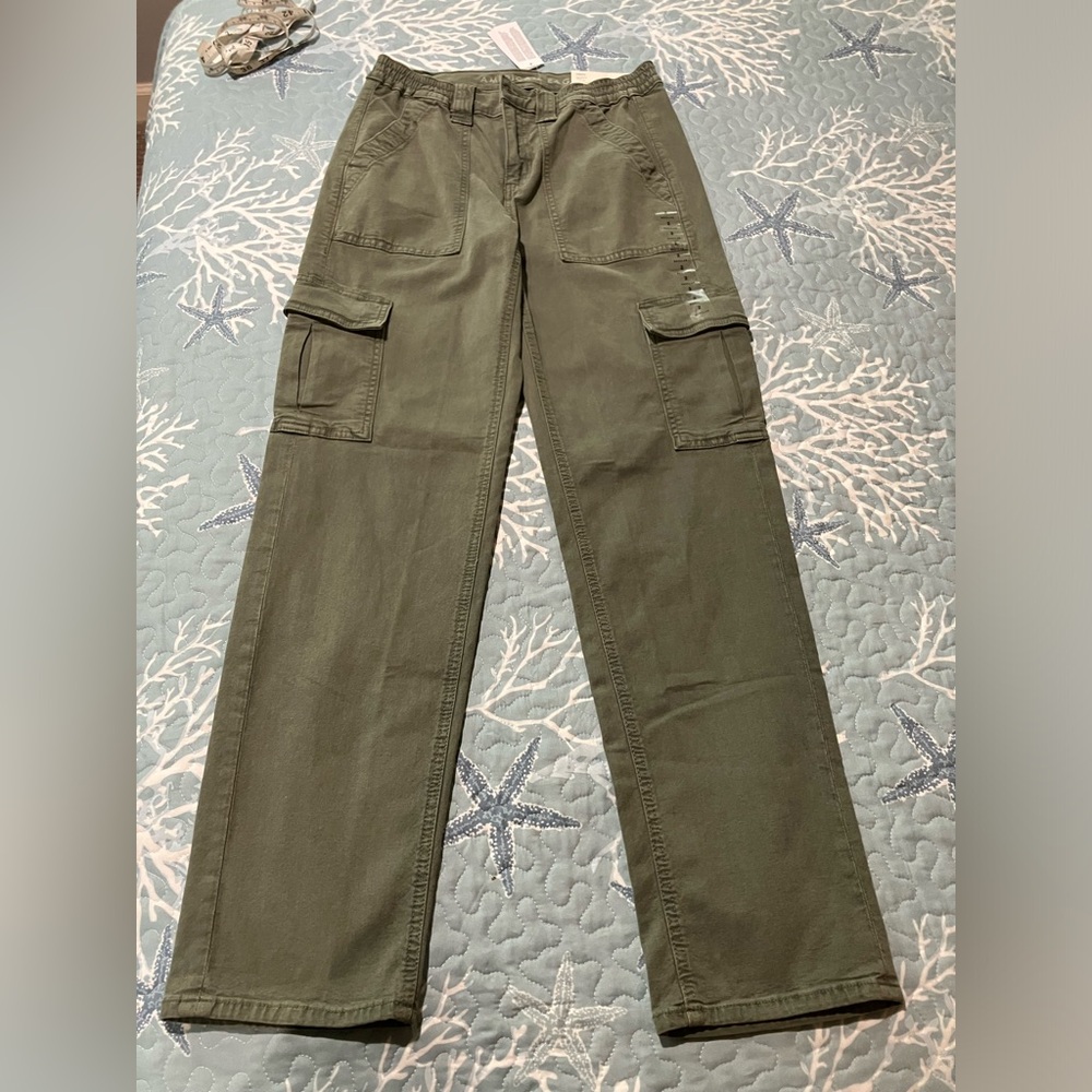 American Eagle NWT…woman size 2 stretch jeans